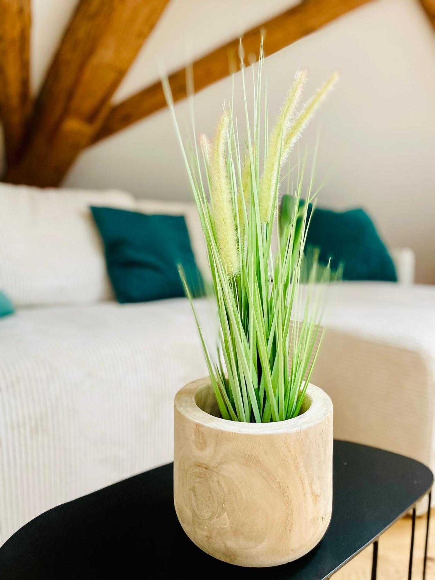 Appartement Villa Seeliebe Tägerwilen Zewnętrze zdjęcie