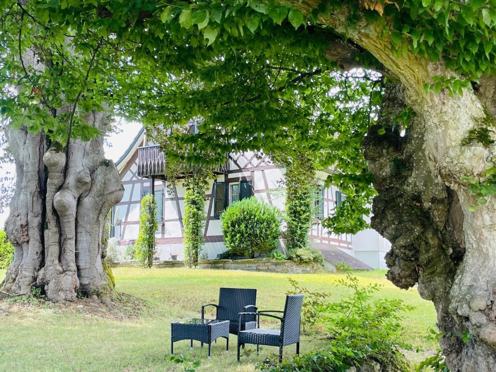 Appartement Villa Seeliebe Tägerwilen Zewnętrze zdjęcie